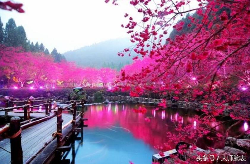 劳力士蓝色日志日本购买,现在去日本买哪些偏门的劳力士