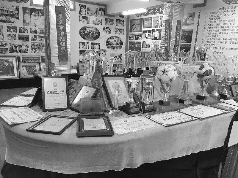 广西金嗓子官网,广西金嗓子