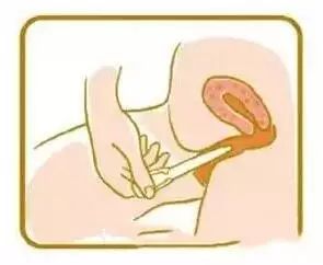 美国试管婴儿移植后14天内,胚胎到底都经历了什么?