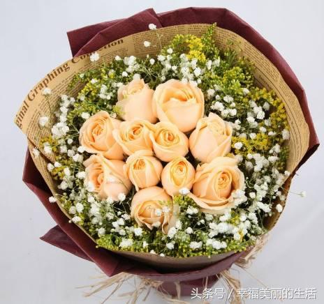 十种漂亮的玫瑰花,10种最好看的玫瑰花排名