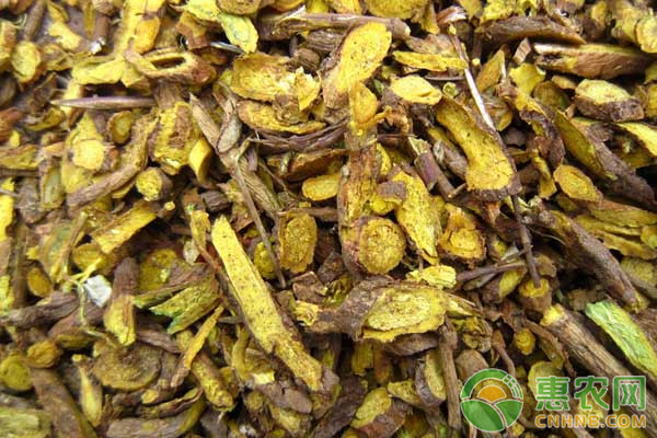 2018年农业种植什么东西最挣钱,今年种什么经济作物最赚钱