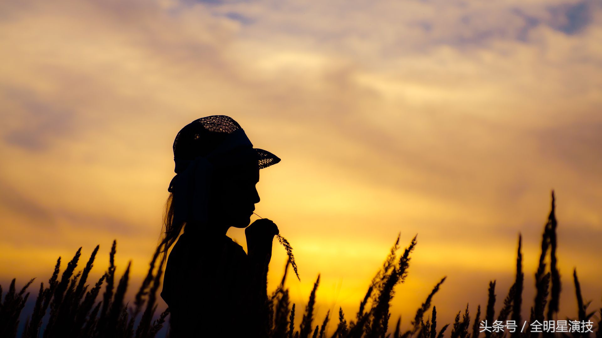 涂磊送你恋人情感经典语录总结,喜欢拿走,不谢不谢
