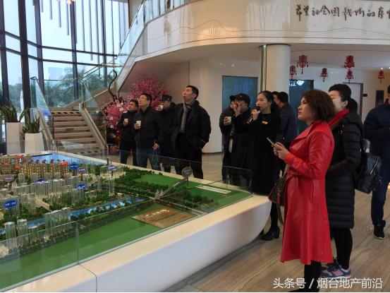 凤凰之约完整版,碧桂园凤凰烟台