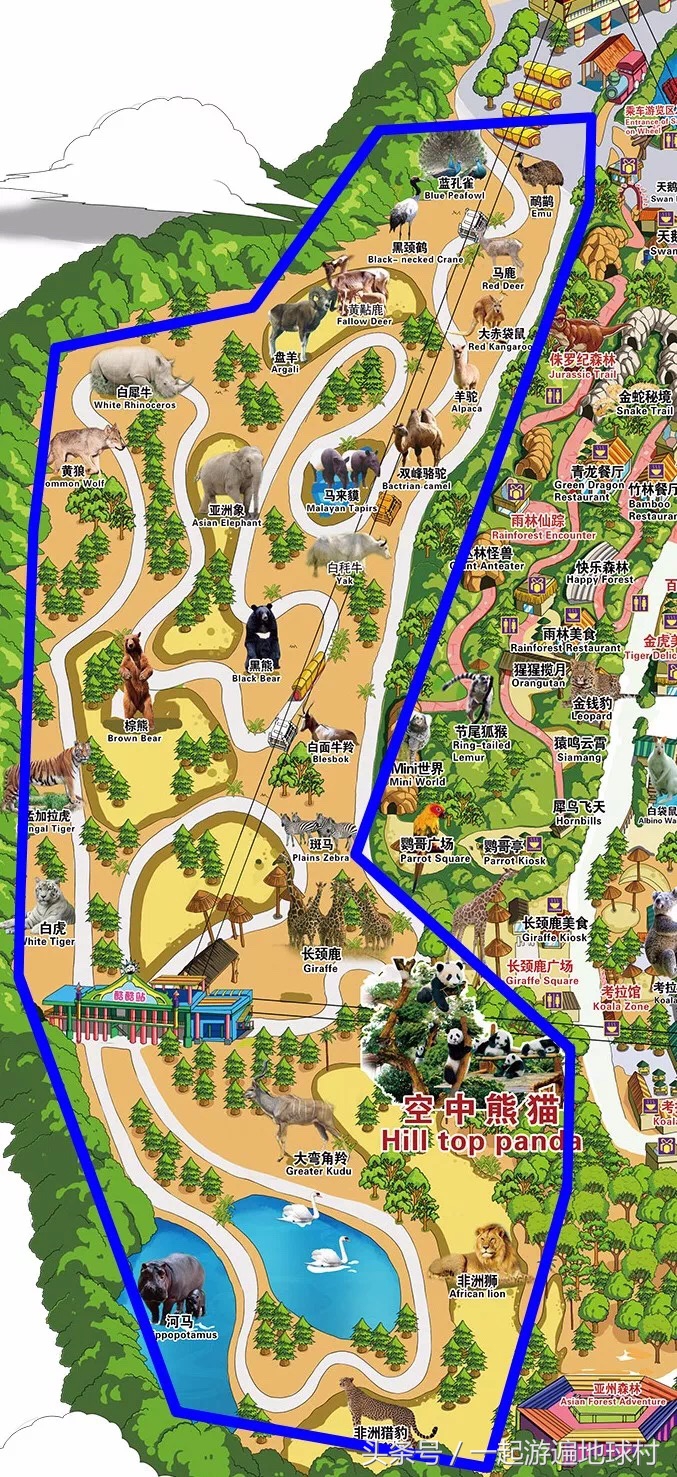 长隆野生动物世界游玩北门攻略,长隆野生动物世界旅游攻略路线