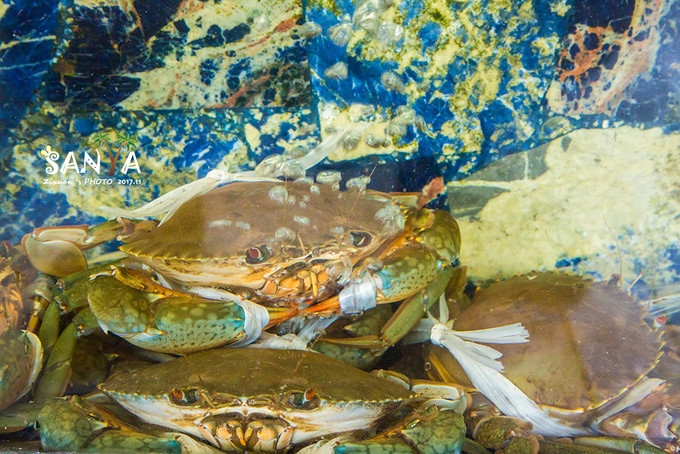 三亚离赤道有多少公里,三亚很远但是目的地并不遥远