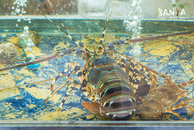 三亚离赤道有多少公里,三亚很远但是目的地并不遥远