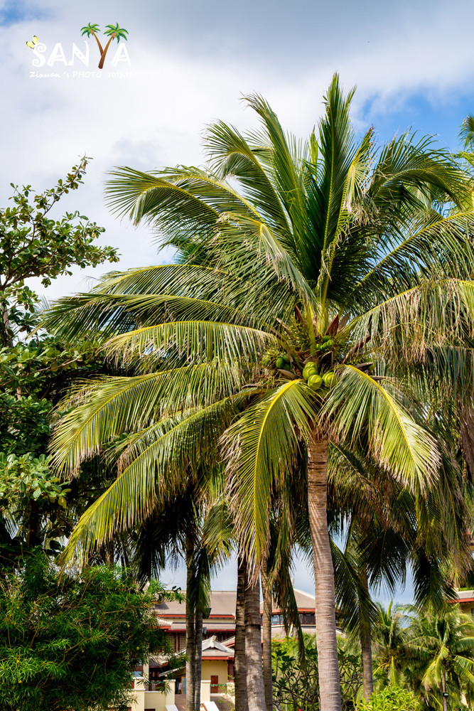 三亚离赤道有多少公里,三亚很远但是目的地并不遥远