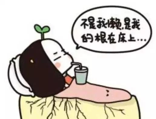 如果我有钱,我一定会把它们都给睡到天荒地老!