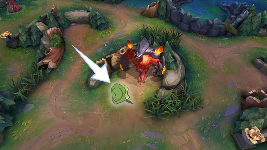 你的小蛤蟆凉了吗，王者峡谷的号角声可在耳畔？