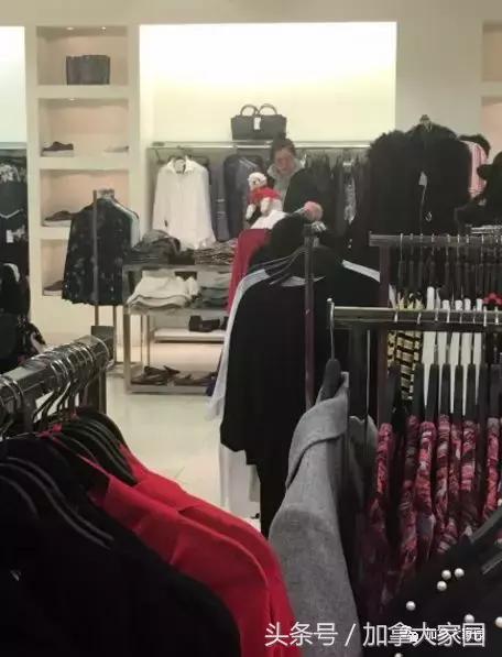 王祖贤抱着狗狗,王祖贤抱狗狗素颜逛超市被偶遇