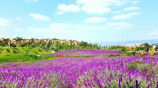 曲靖出发自驾游去哪里,曲靖出发自驾游10天