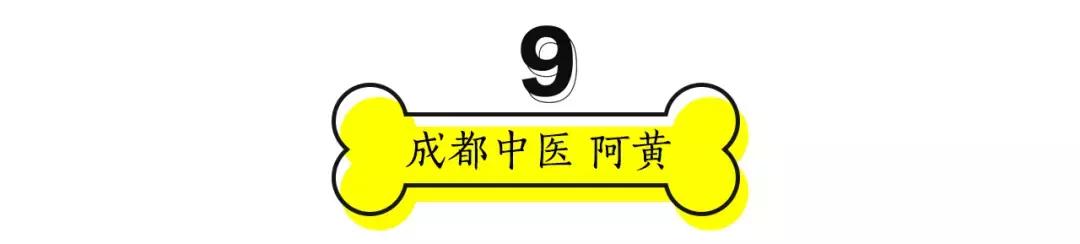 成都的十条网红狗,有的住豪宅穿名牌,比人活得还巴适