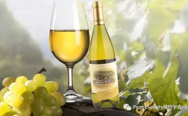 杯酒人生红酒品鉴,杯酒人生品味生活
