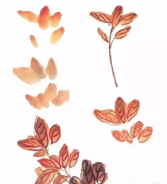 果果小写意牡丹画法教学视频,王绣写意牡丹画法零基础视频