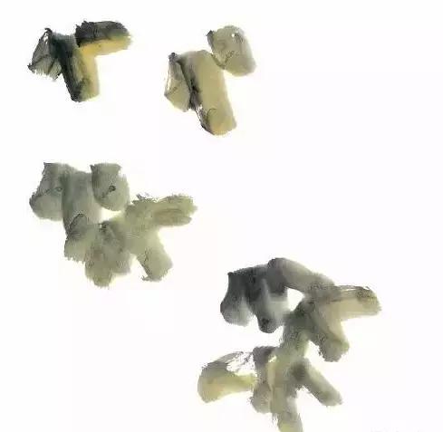 果果小写意牡丹画法教学视频,王绣写意牡丹画法零基础视频