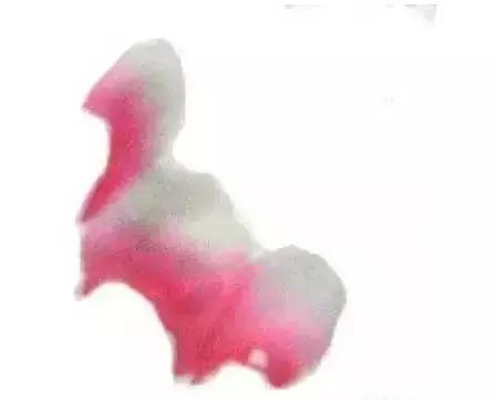 果果小写意牡丹画法教学视频,王绣写意牡丹画法零基础视频