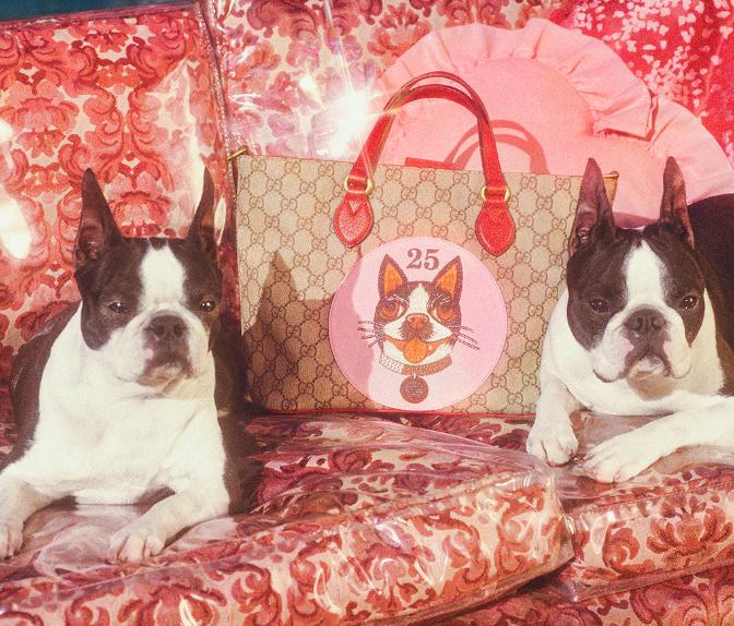 外国人春节凑热闹,中国过年老外凑热闹