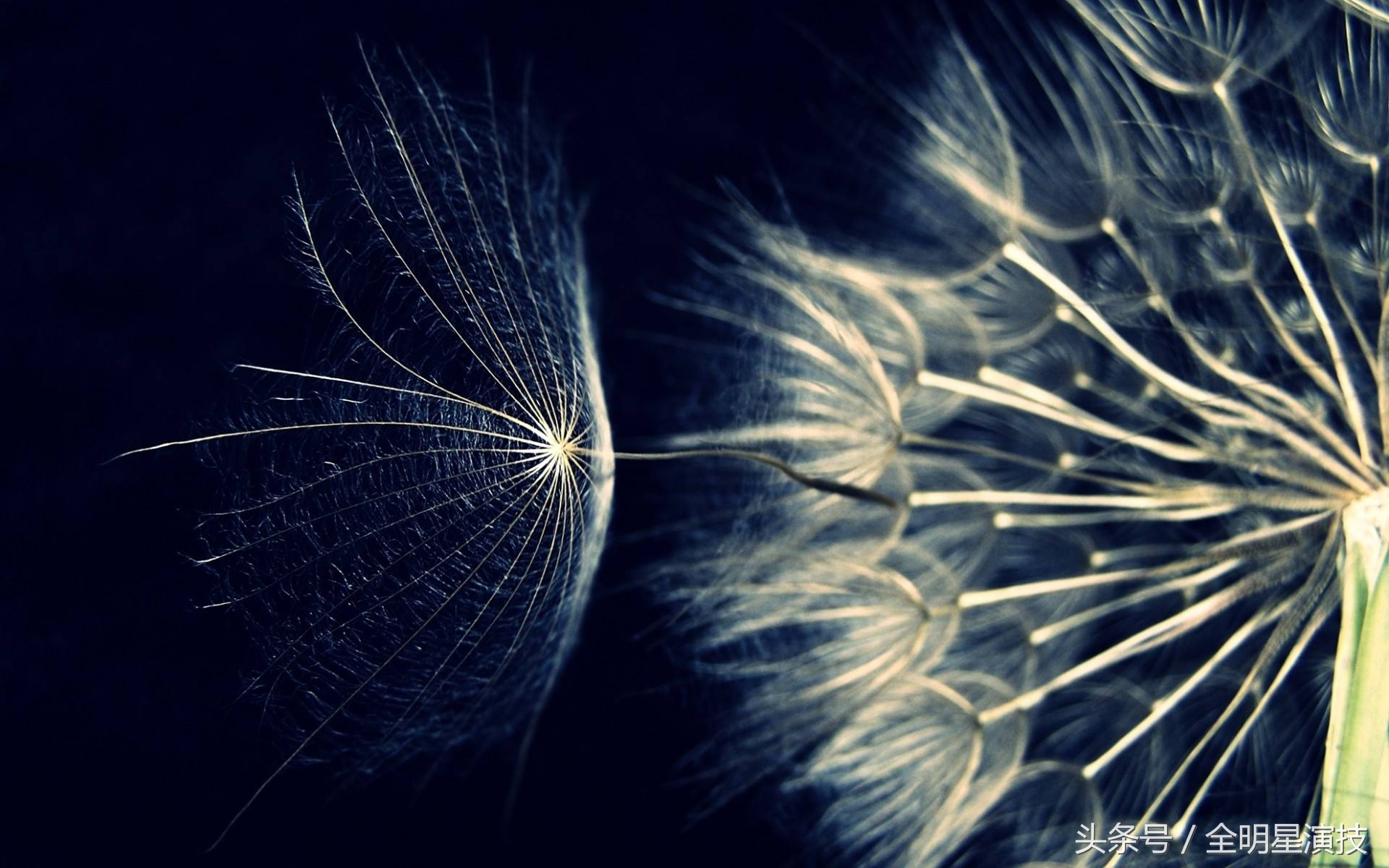 涂磊送你恋人情感经典语录总结,喜欢拿走,不谢不谢