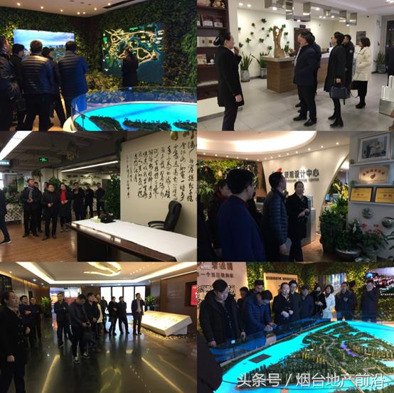 凤凰之约完整版,碧桂园凤凰烟台