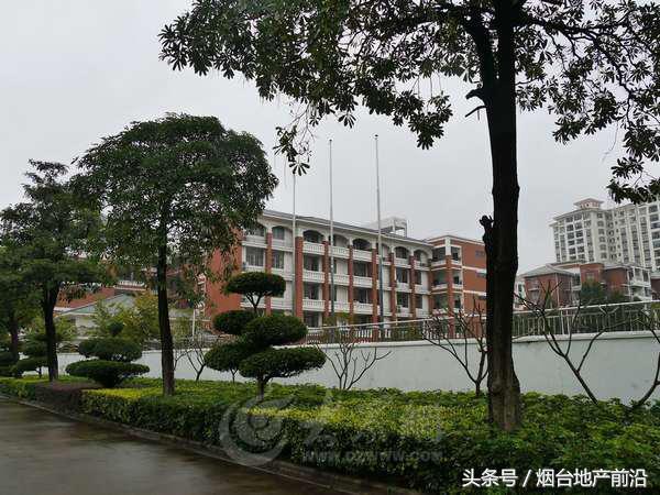 凤凰之约完整版,碧桂园凤凰烟台