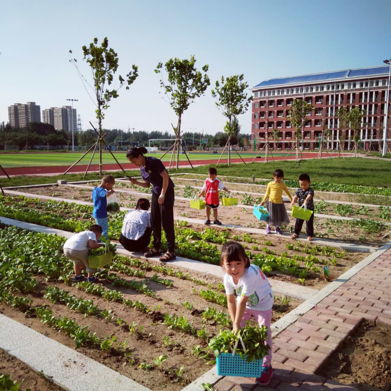 潍坊的学校怎么样,山东潍坊的学校好吗