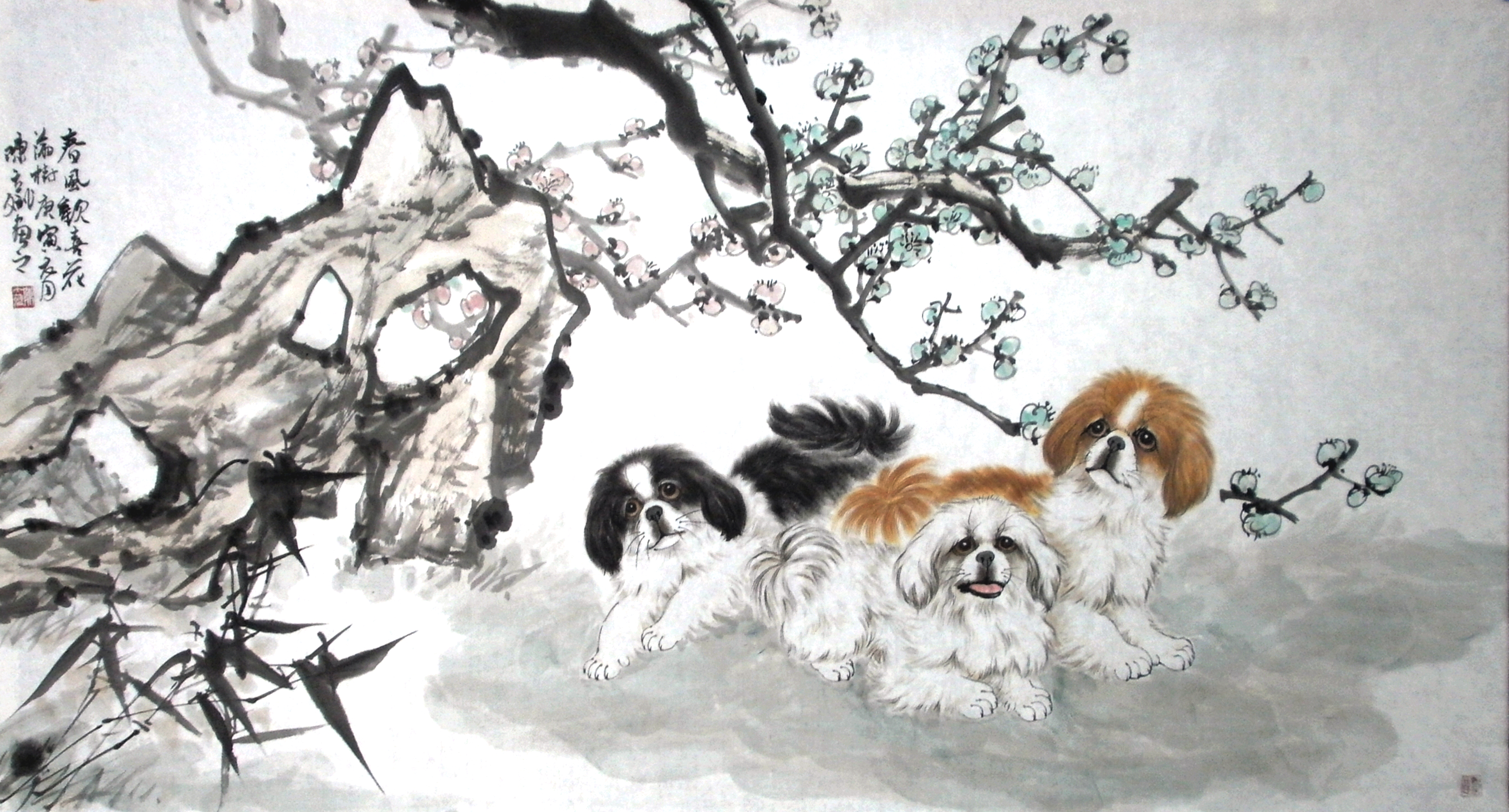 狗的前世和汪星人,属狗人的前世今生