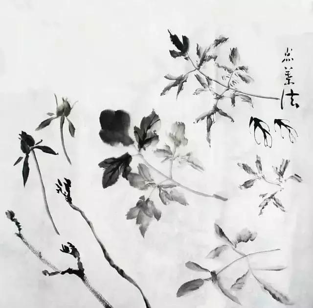 果果小写意牡丹画法教学视频,王绣写意牡丹画法零基础视频