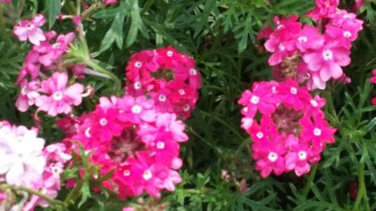 高考必背诗词重点句子,高考必考的诗句有哪些