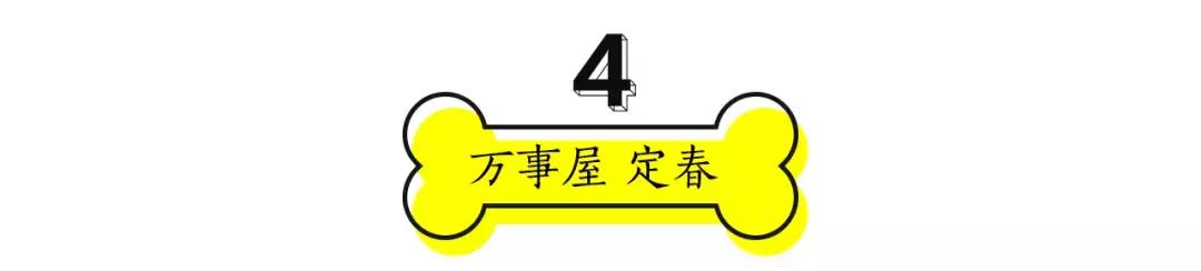 成都的十条网红狗,有的住豪宅穿名牌,比人活得还巴适