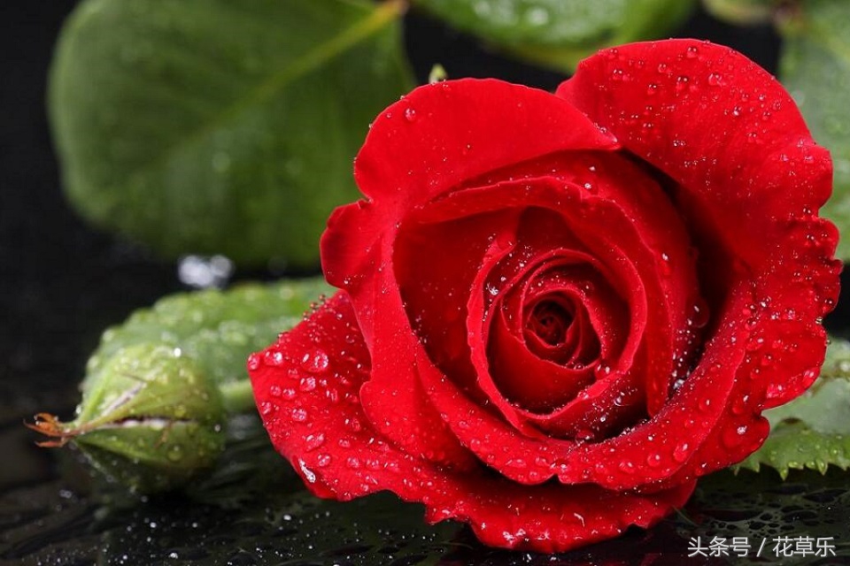 2018十二生肖流年运势详解,2018年十二生肖运势完整版