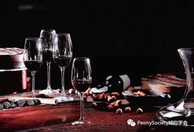 杯酒人生红酒品鉴,杯酒人生品味生活
