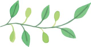 六种茶叶入门方法,茶叶叶底的秘密