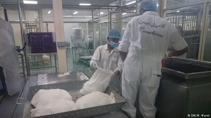 不一样的迪拜产品沙漠白金骆驼奶,迪拜被称为软黄金的骆驼奶