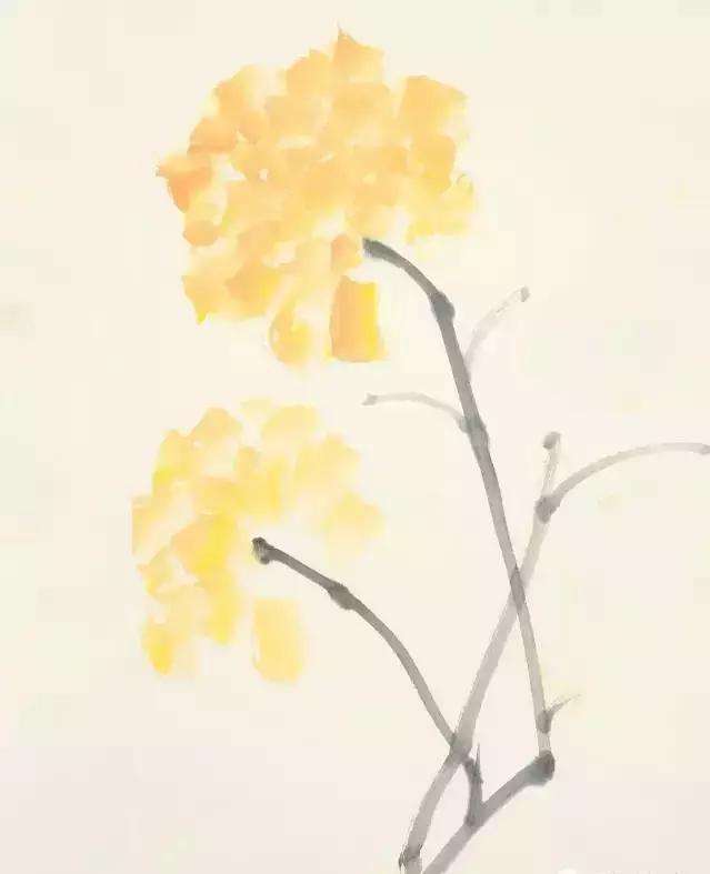 果果小写意牡丹画法教学视频,王绣写意牡丹画法零基础视频