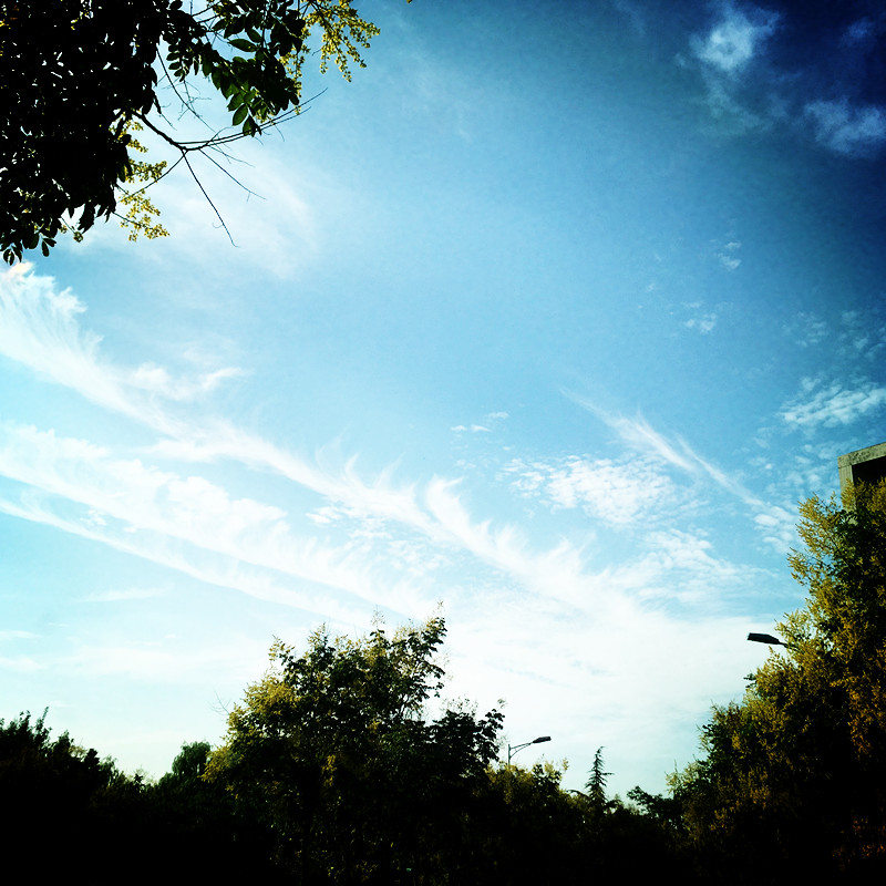 考考你的古诗词,高考常见四字成语及注解