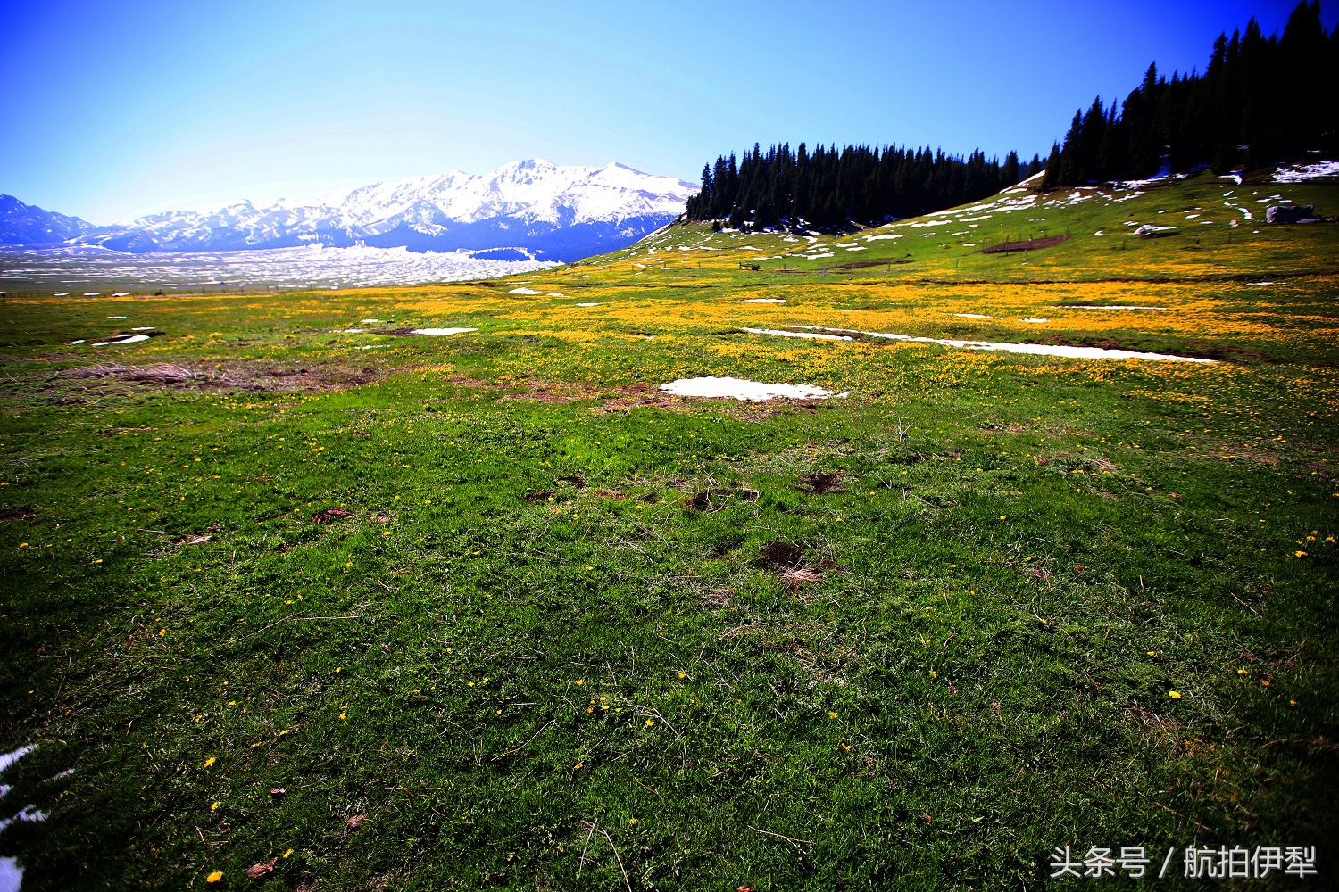 美丽的赛里木湖风景图片,赛里木湖的美景