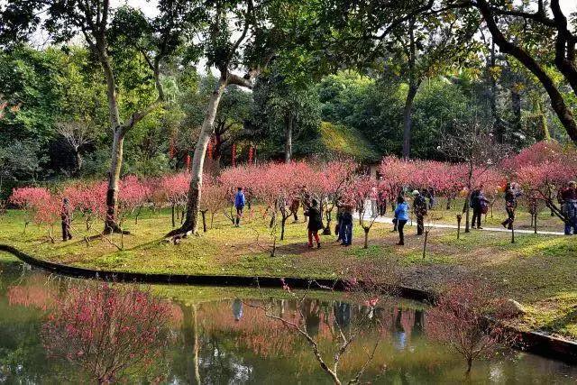 春节广州景点,广州特惠旅游景点推荐