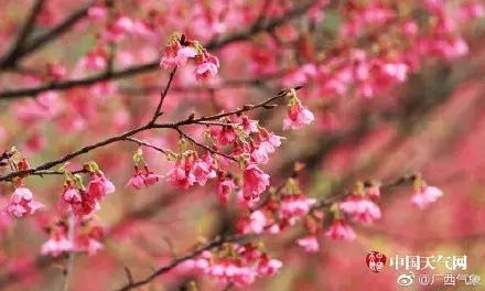 在南宁情人节应该怎么过？大王教你一秒get到Ta的心