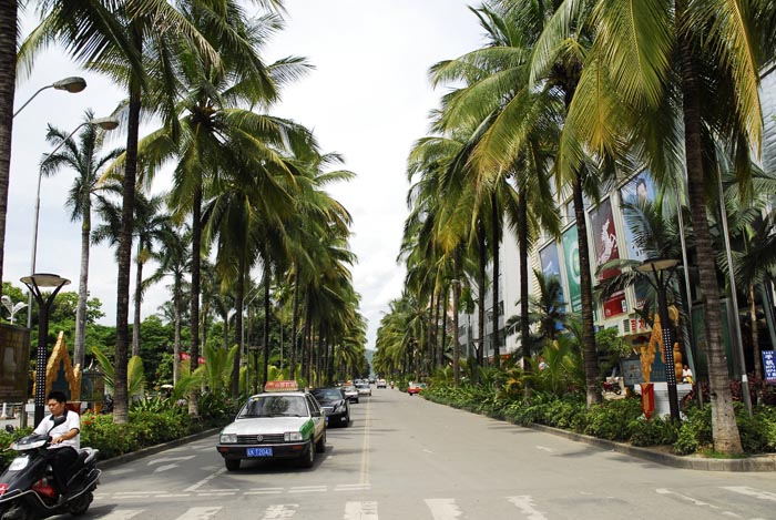 西双版纳景洪市地区简介,西双版纳傣乡纪行