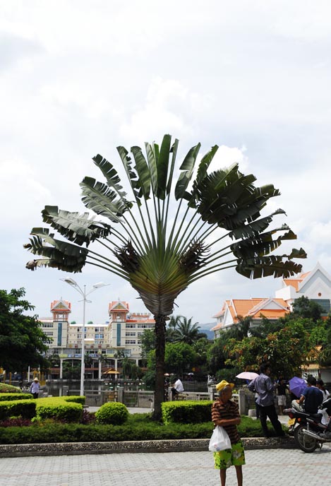 西双版纳景洪市地区简介,西双版纳傣乡纪行