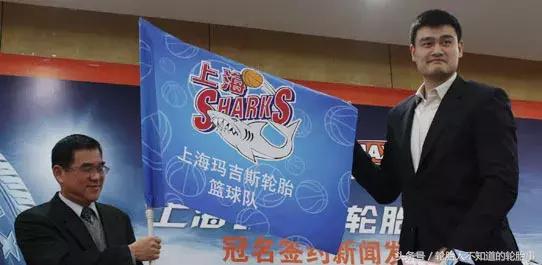 玛吉斯轮胎是哪里造的,玛吉斯最高端的轮胎