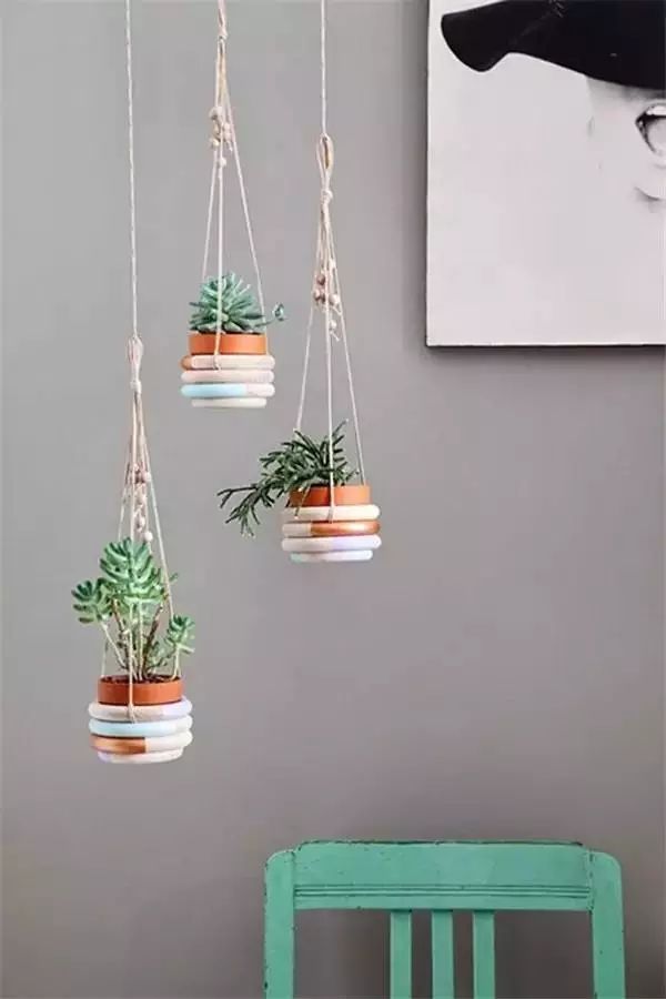 新的一年生活充满阳光,有一种生活叫有氧