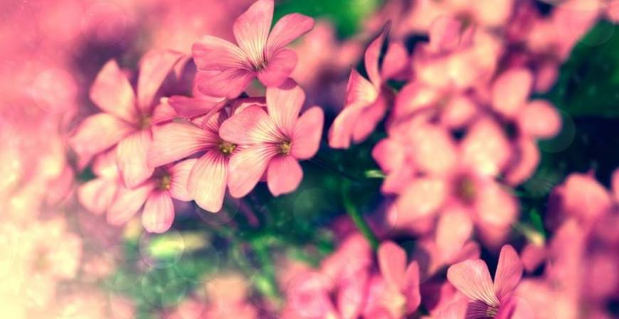 聊着聊着就失踪的星座,绝望了就消失不见的星座