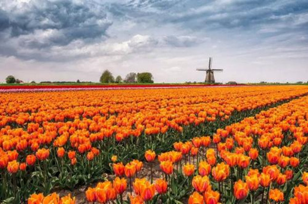 最红色的春晚,红色主题央视春晚