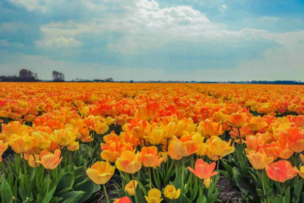 最红色的春晚,红色主题央视春晚