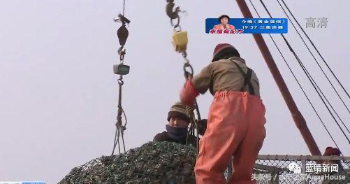 2018年12月19日全国水产价格,水产塘口每日最新报价