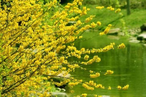 高考必背诗词重点句子,高考必考的诗句有哪些