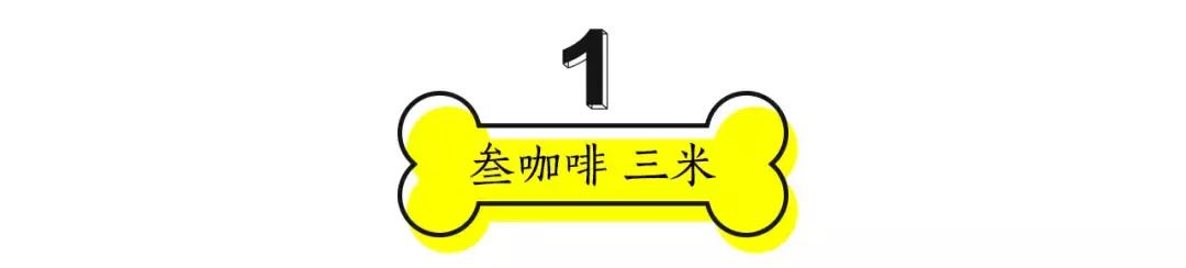 成都的十条网红狗,有的住豪宅穿名牌,比人活得还巴适