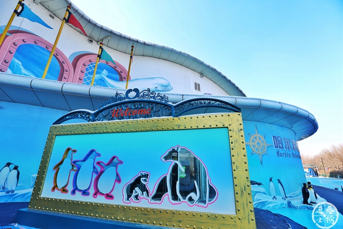 哈尔滨极地馆体验,哈尔滨极地馆之精彩瞬间