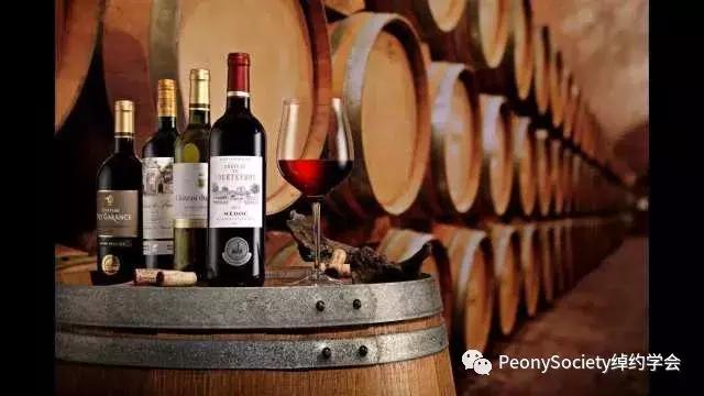 杯酒人生红酒品鉴,杯酒人生品味生活